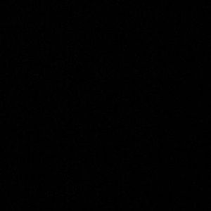 Meet your Posher, Maggie